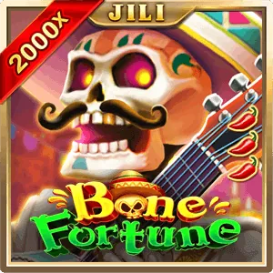 Live Casino Provider